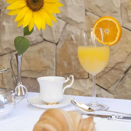 Hotel Garden Boutique