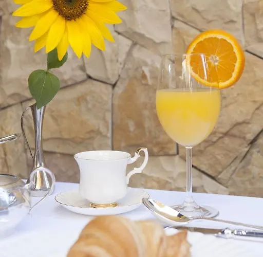 Hotel Garden Boutique