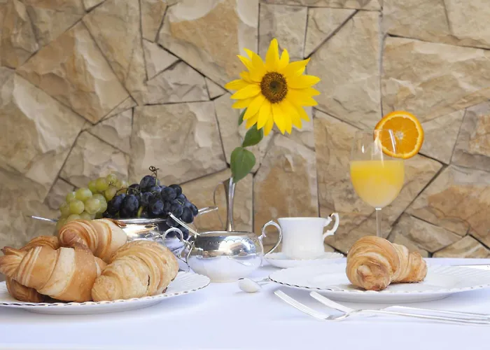 Hotel Garden Boutique